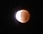 d0106518_1192234.jpg