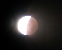 d0106518_1193533.jpg