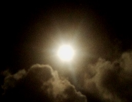 a0043520_004961.jpg