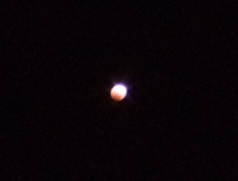 a0043520_01096.jpg