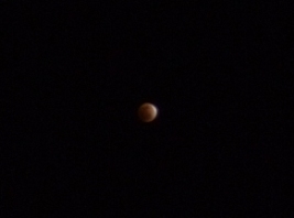 a0043520_012397.jpg