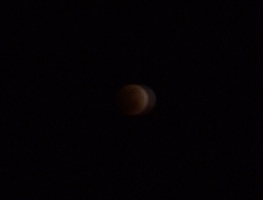 a0043520_012946.jpg
