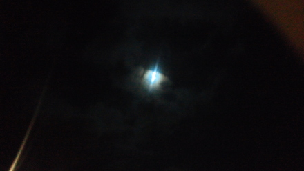 f0227120_20244632.jpg