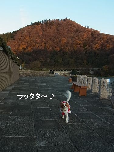 f0214121_2241696.jpg