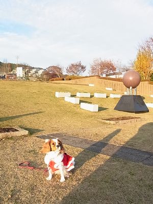 f0214121_2242556.jpg