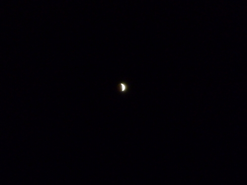 f0028123_175326.jpg