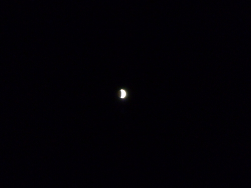 f0028123_1754419.jpg