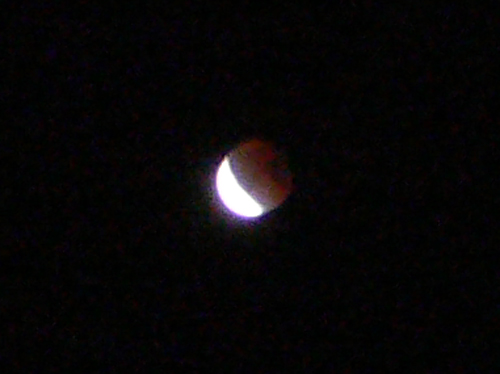 f0060424_0383828.jpg