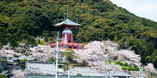 f0213825_12432759.jpg