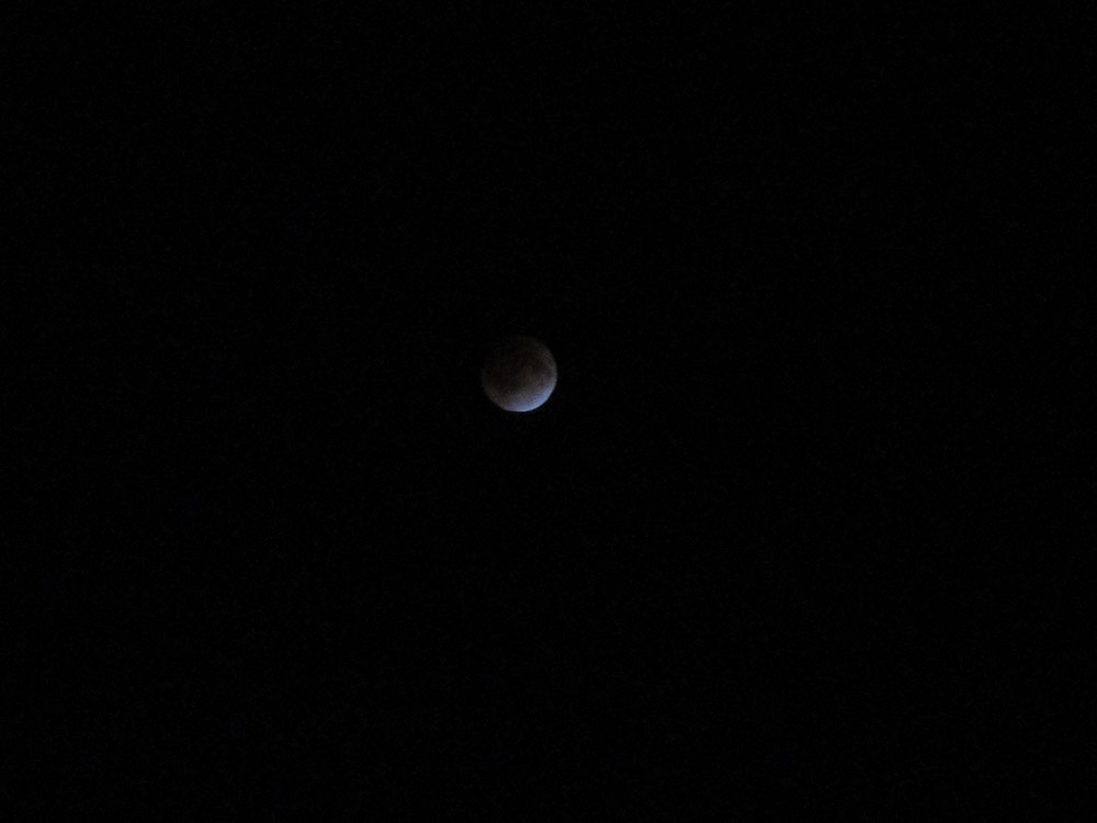 e0037129_1153623.jpg