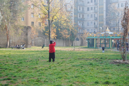 e0203331_23394553.jpg