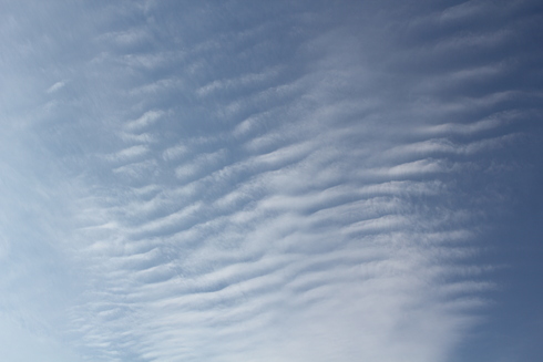 e0166032_21122282.jpg