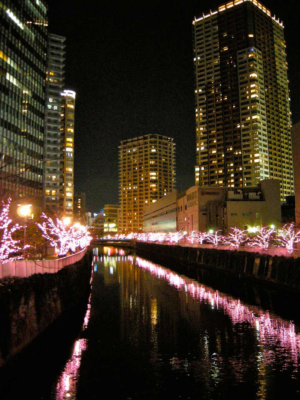 e0247832_219584.jpg