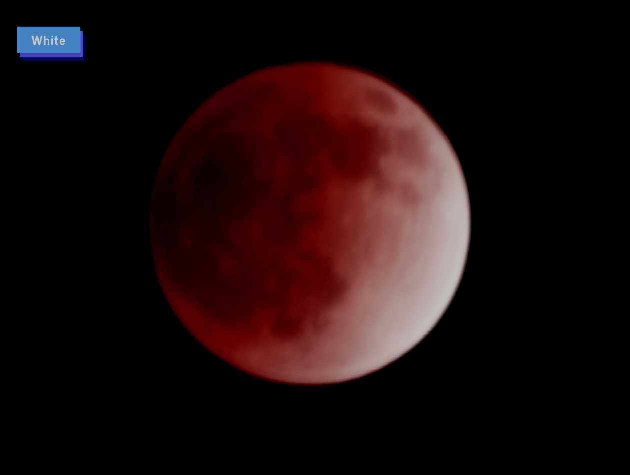 c0227134_1071432.jpg