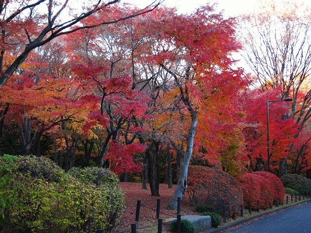 a0219537_2312281.jpg