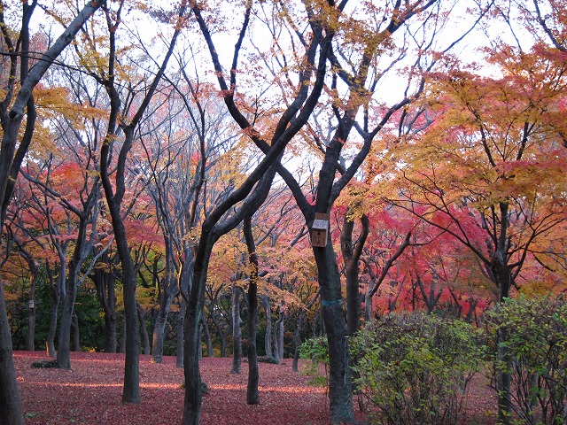 a0219537_23123169.jpg