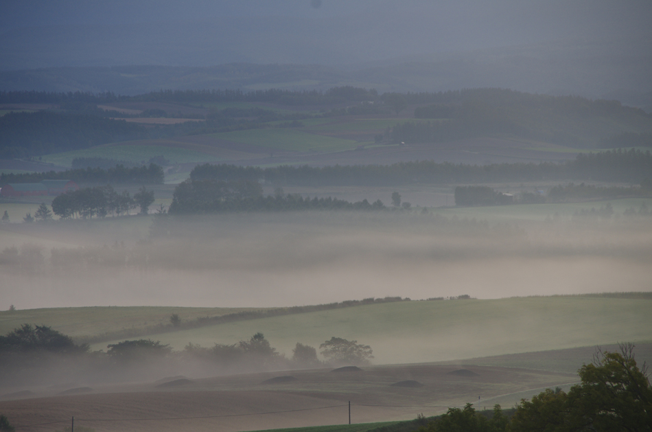b0247838_1527528.jpg