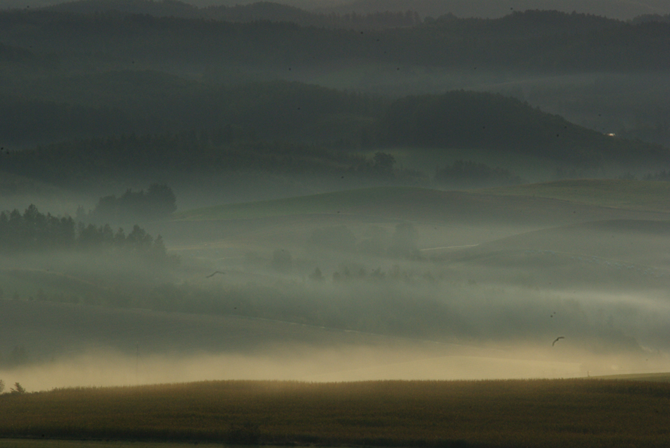 b0247838_1528681.jpg