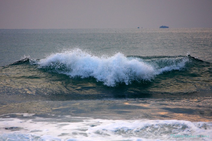 e0083238_213505.jpg