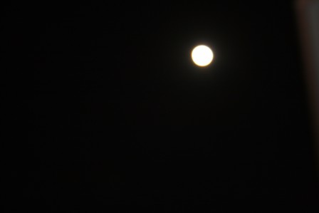 f0114938_21231520.jpg