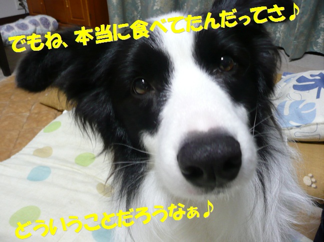 c0147241_1834253.jpg
