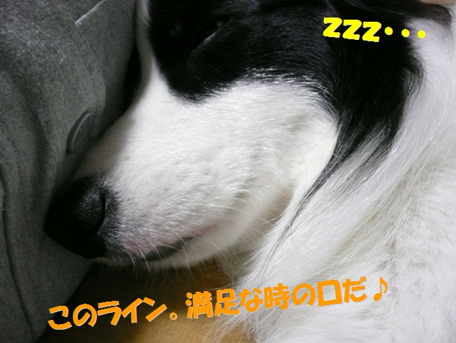 c0147241_183483.jpg