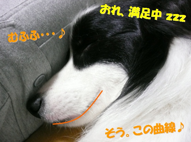 c0147241_1835327.jpg