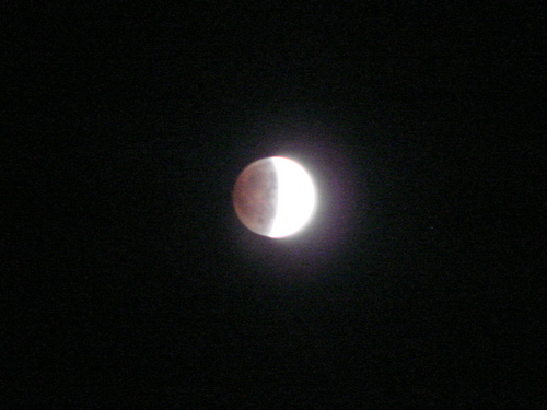 d0194741_17312026.jpg