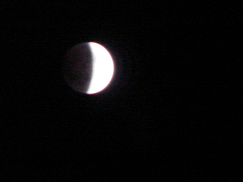 d0194741_1732814.jpg
