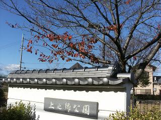 a0124543_18231580.jpg