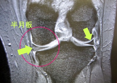 a0142343_1221962.jpg