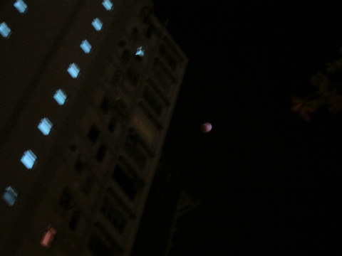 e0018143_144869.jpg
