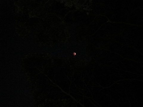 e0018143_173813.jpg