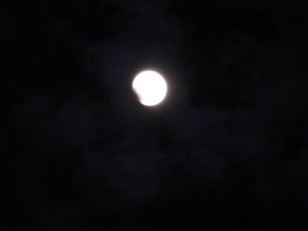 a0175545_12252345.jpg
