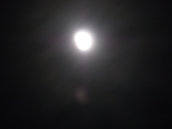 a0175545_1232519.jpg