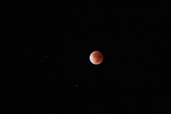 a0024250_011469.jpg