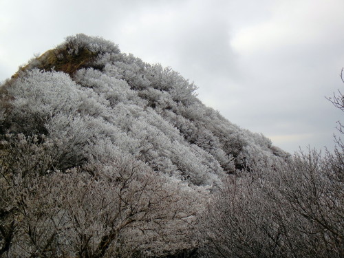 c0179351_19585524.jpg