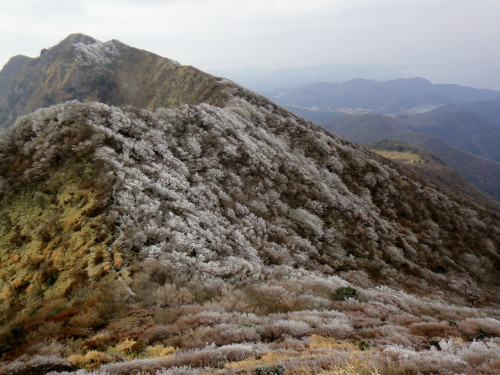 c0179351_19593255.jpg