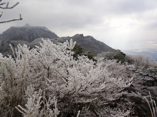 c0179351_2005154.jpg
