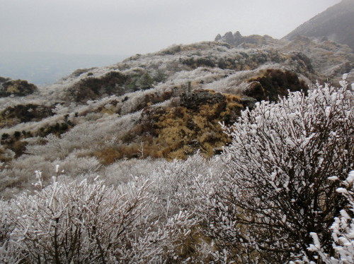 c0179351_2011487.jpg