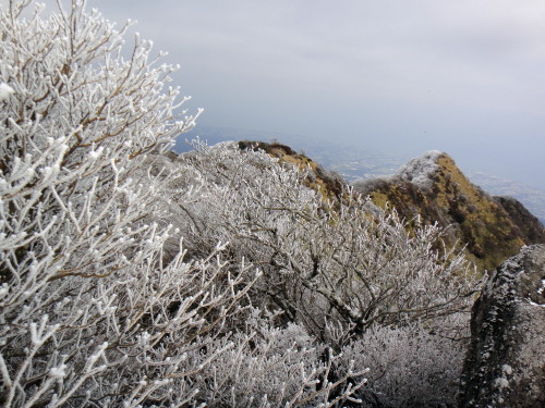 c0179351_2013778.jpg