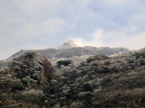 c0179351_2092337.jpg