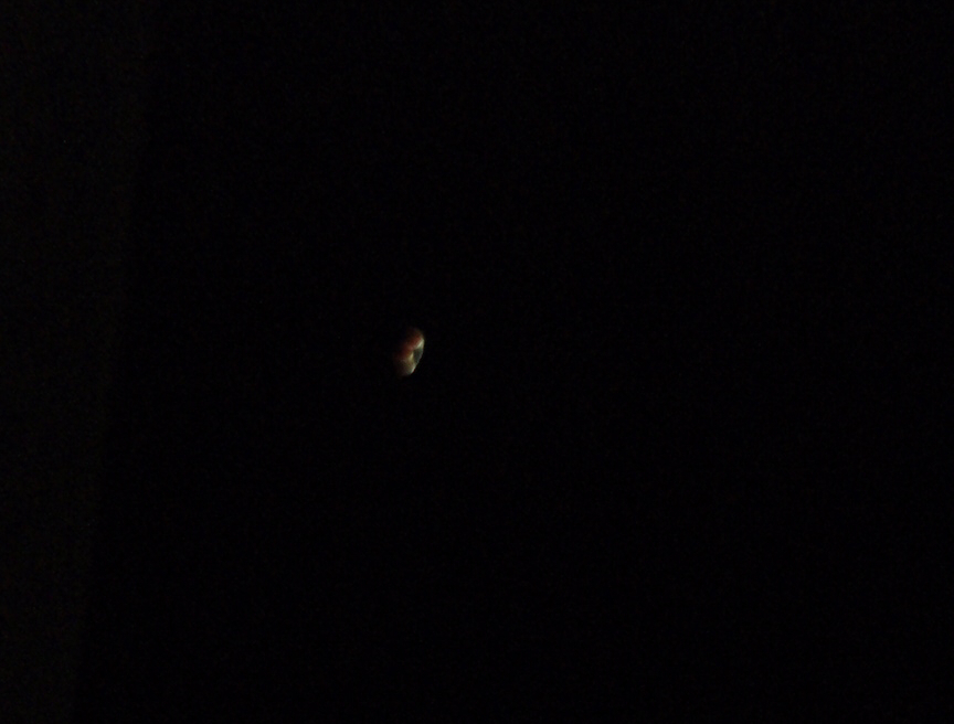 e0004756_8561725.jpg