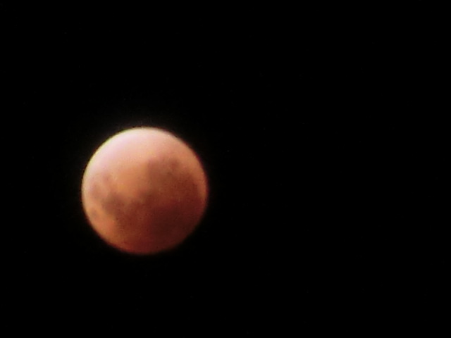e0171460_94512.jpg