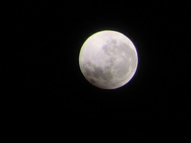 e0171460_949508.jpg
