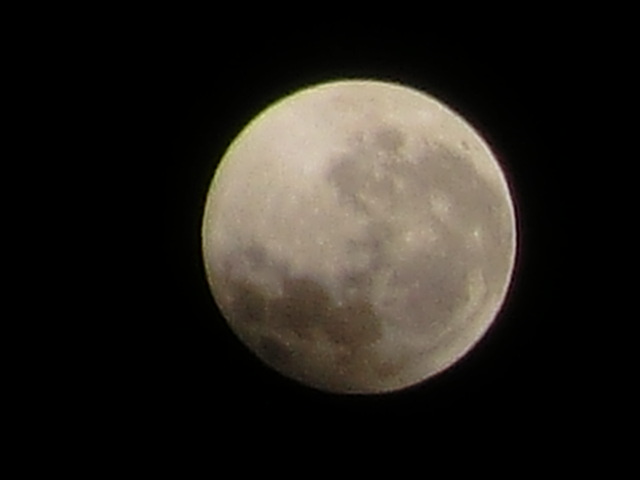 e0171460_950532.jpg