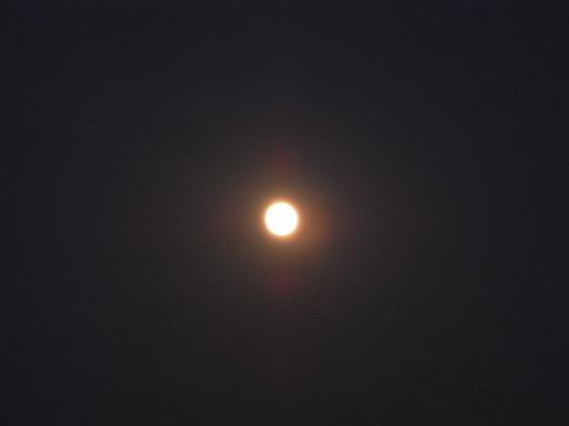 f0110663_23123870.jpg