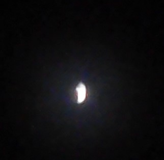 b0236665_21252555.jpg