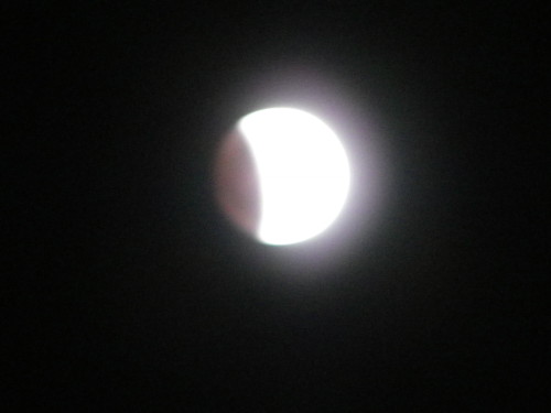 c0108366_10375389.jpg