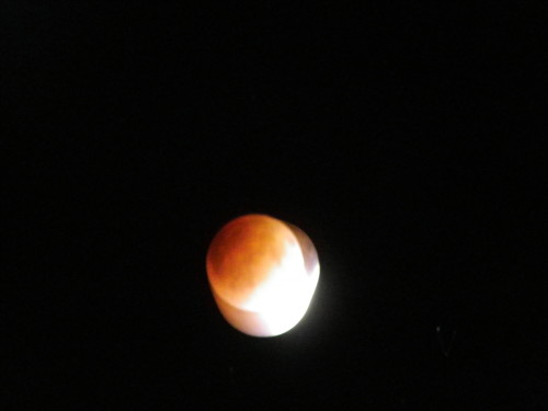 c0108366_1038350.jpg